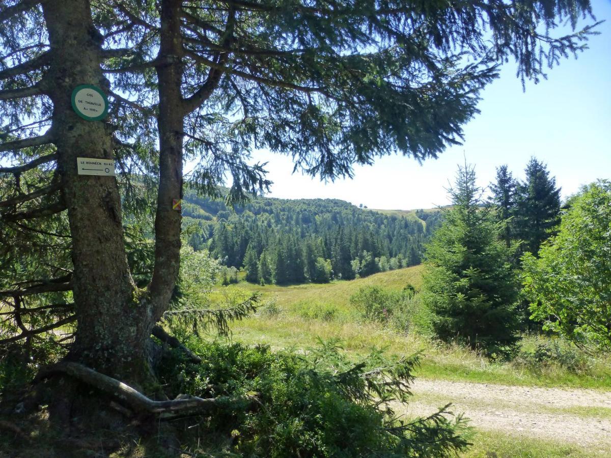 Cosy Appartement La Bresse Centre Ville Zewnętrze zdjęcie