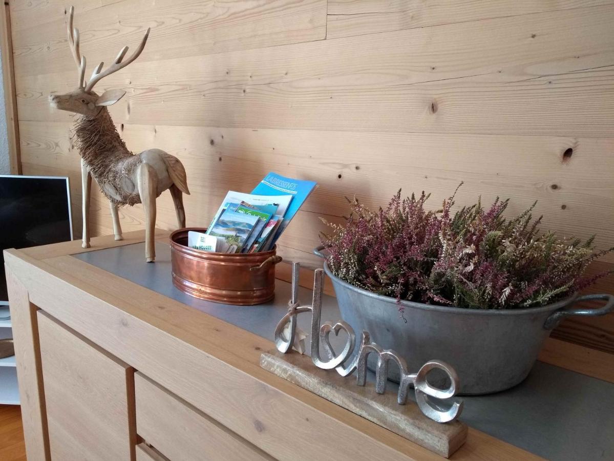 Cosy Appartement La Bresse Centre Ville Zewnętrze zdjęcie